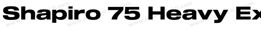 Shapiro 75 Heavy Extd字体转换